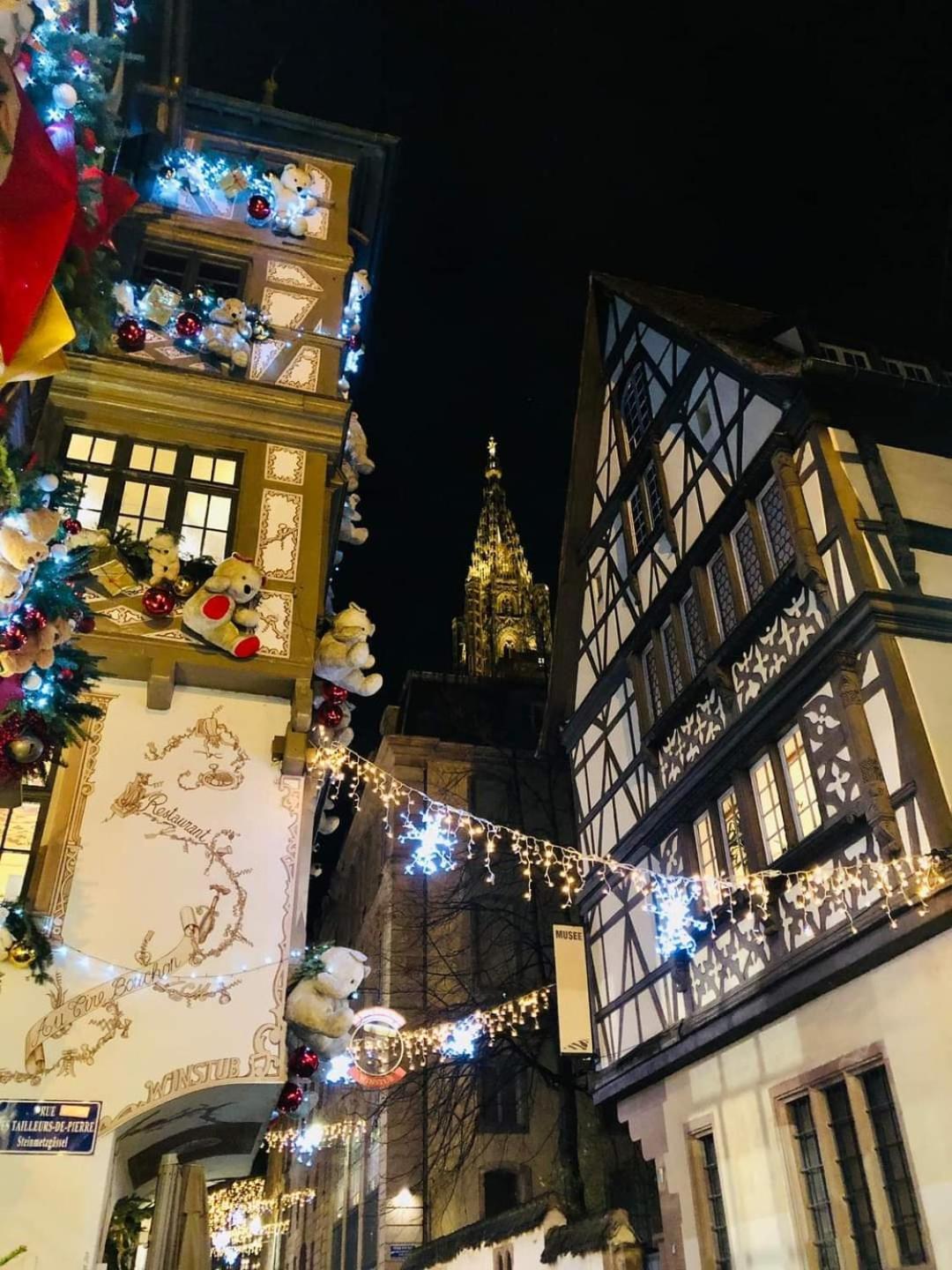 A La Tour Des Rohan Strasbourg Bagian luar foto